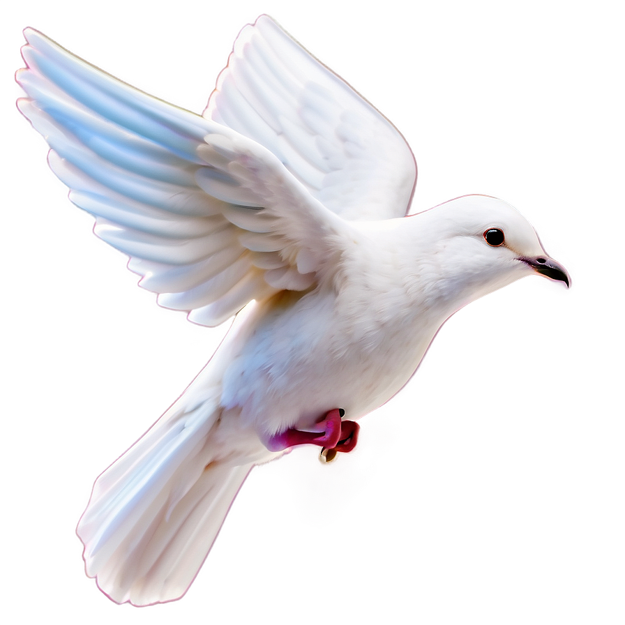 Dove Clipart For Peace Day Png 06262024 PNG Image