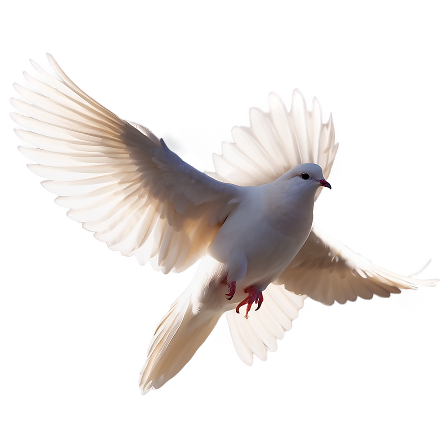 Dove Silhouette Vector Png 76 PNG Image