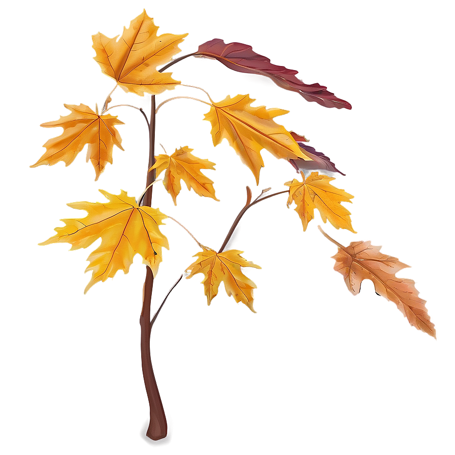 Dramatic Fall Leaf Png 05252024 PNG Image