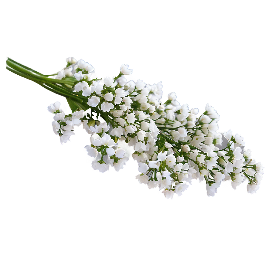 Dreamy Babys Breath Cloud Png Yov PNG Image