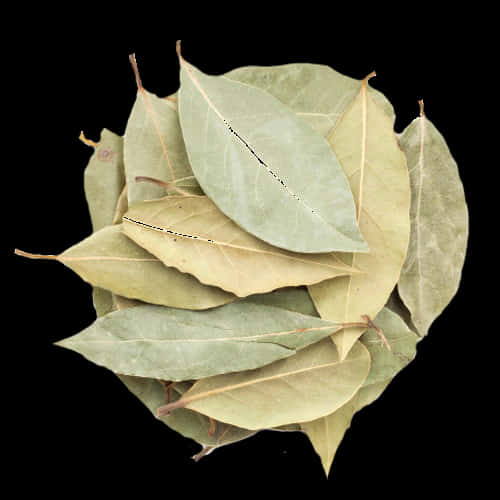 Dried Bay Leaves Stacked PNG Image