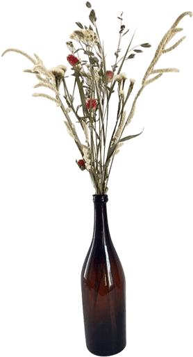 Dried Flowersin Brown Bottle Vase PNG Image