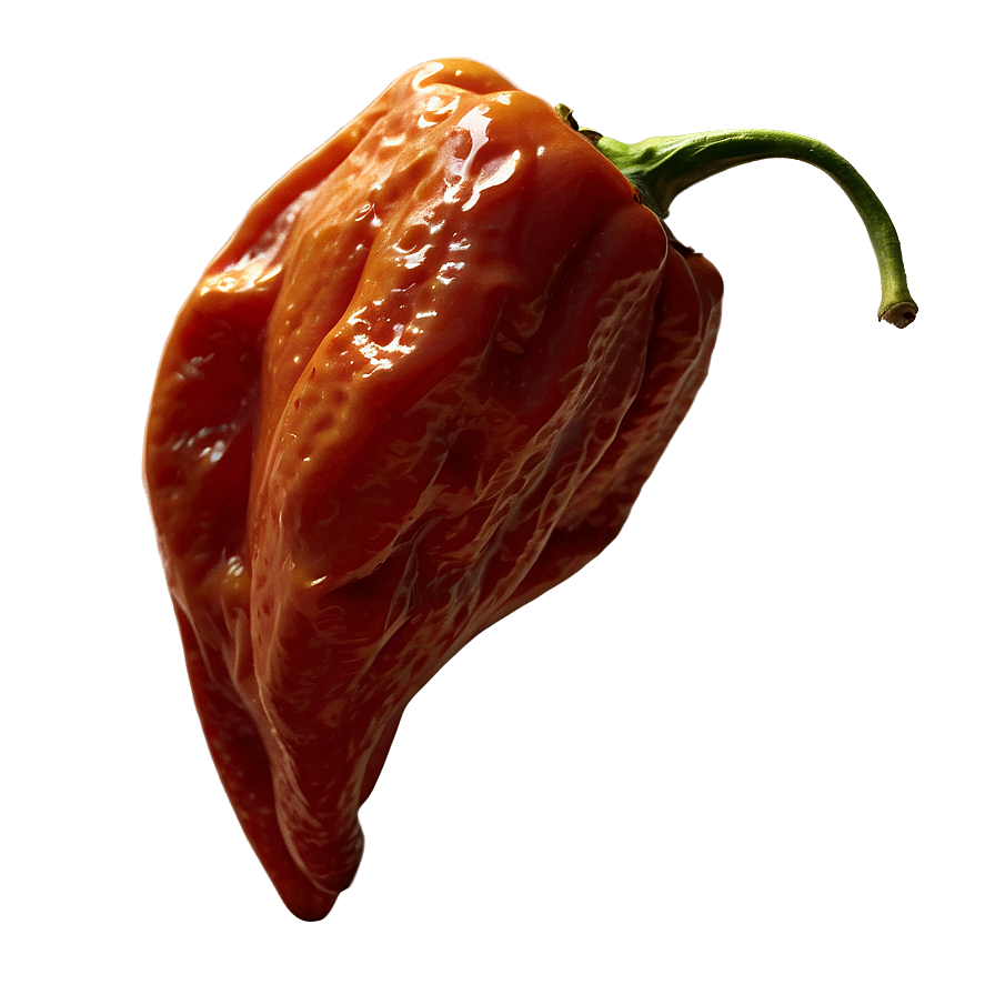 Dried Habanero Pepper Png Eci9 PNG Image