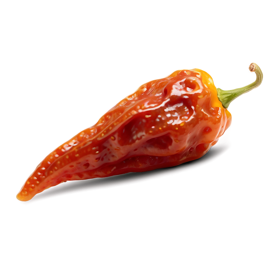 Dried Habanero Pepper Png Jxn57 PNG Image