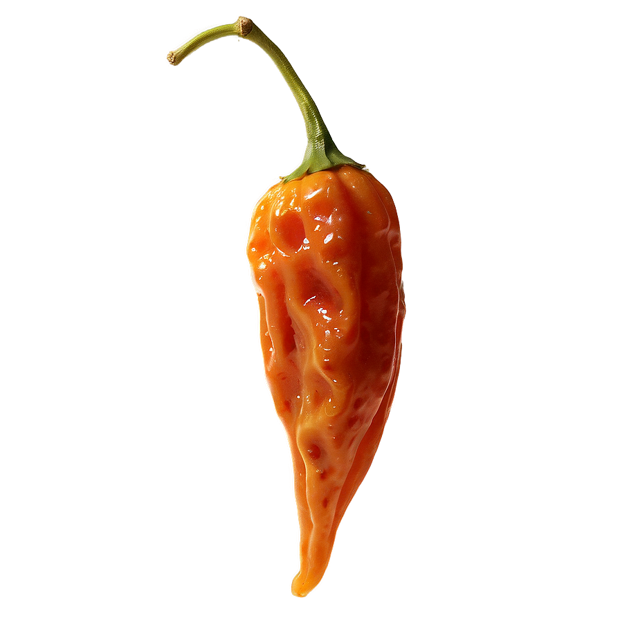 Dried Habanero Pepper Png Mlm8 PNG Image