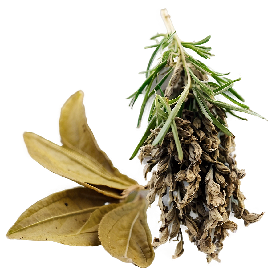 Dried Herb Png Bpa PNG Image