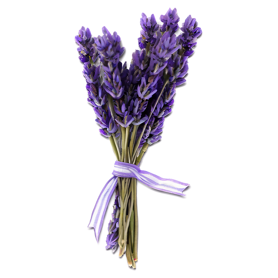 Dried Lavender Bunch Png Gac PNG Image