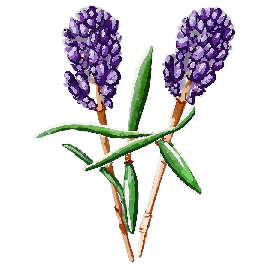 Dried Lavender Decor Png Hxx99 PNG Image