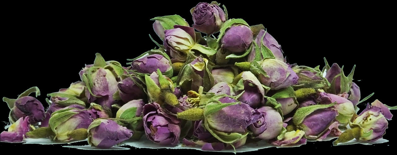 Dried Rose Buds Black Background PNG Image