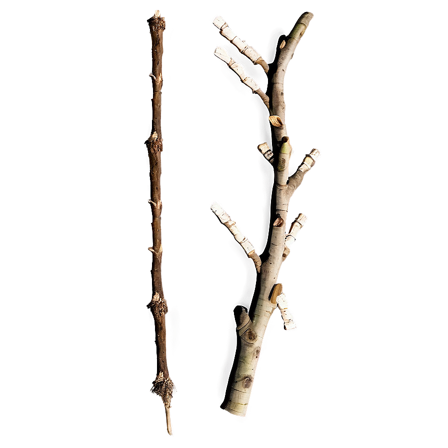 Dry Twig Png Cfu85 PNG Image