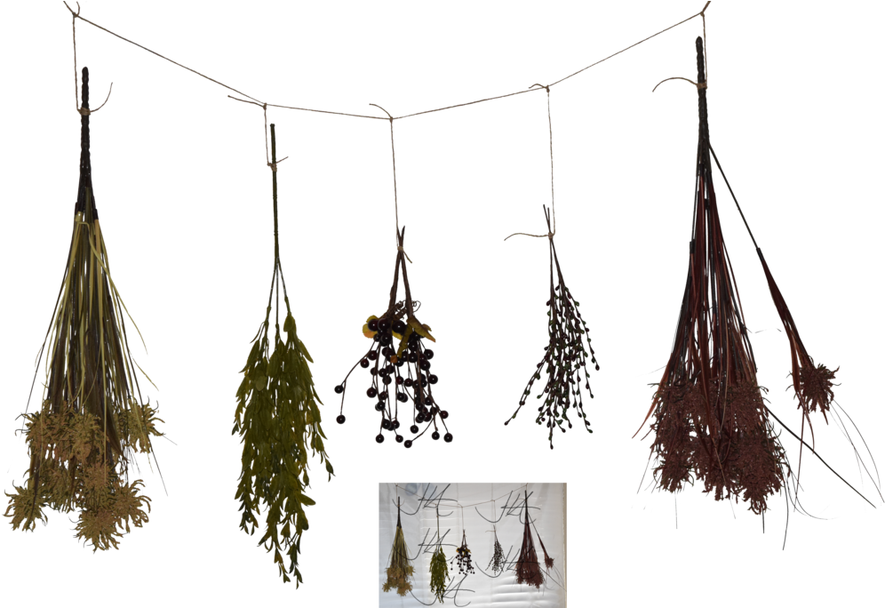 Drying Herbs Collection PNG Image