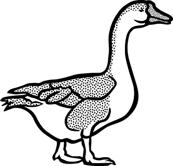 Duck Rabbit_ Optical_ Illusion PNG Image