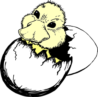 Duckling Hatching From Egg PNG Image