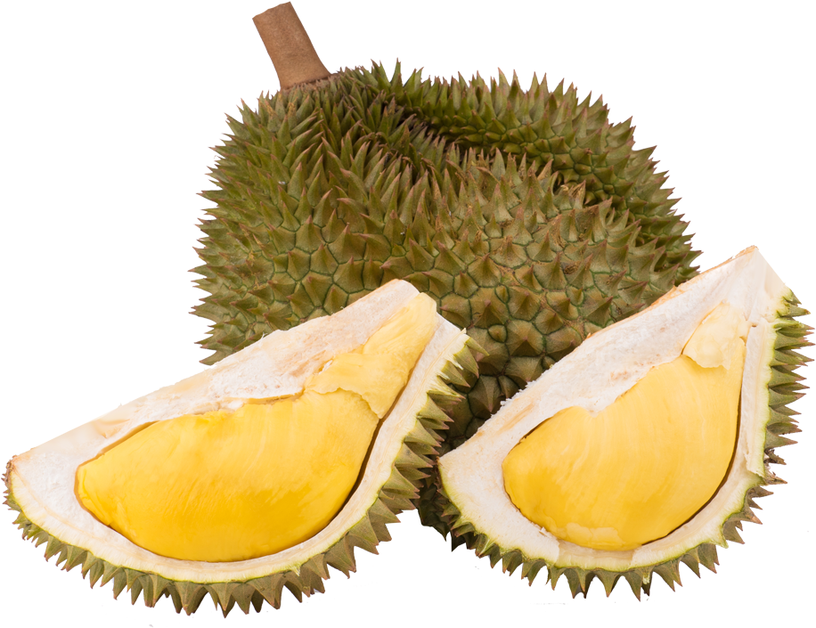 Durian Fruitand Slices.png PNG Image