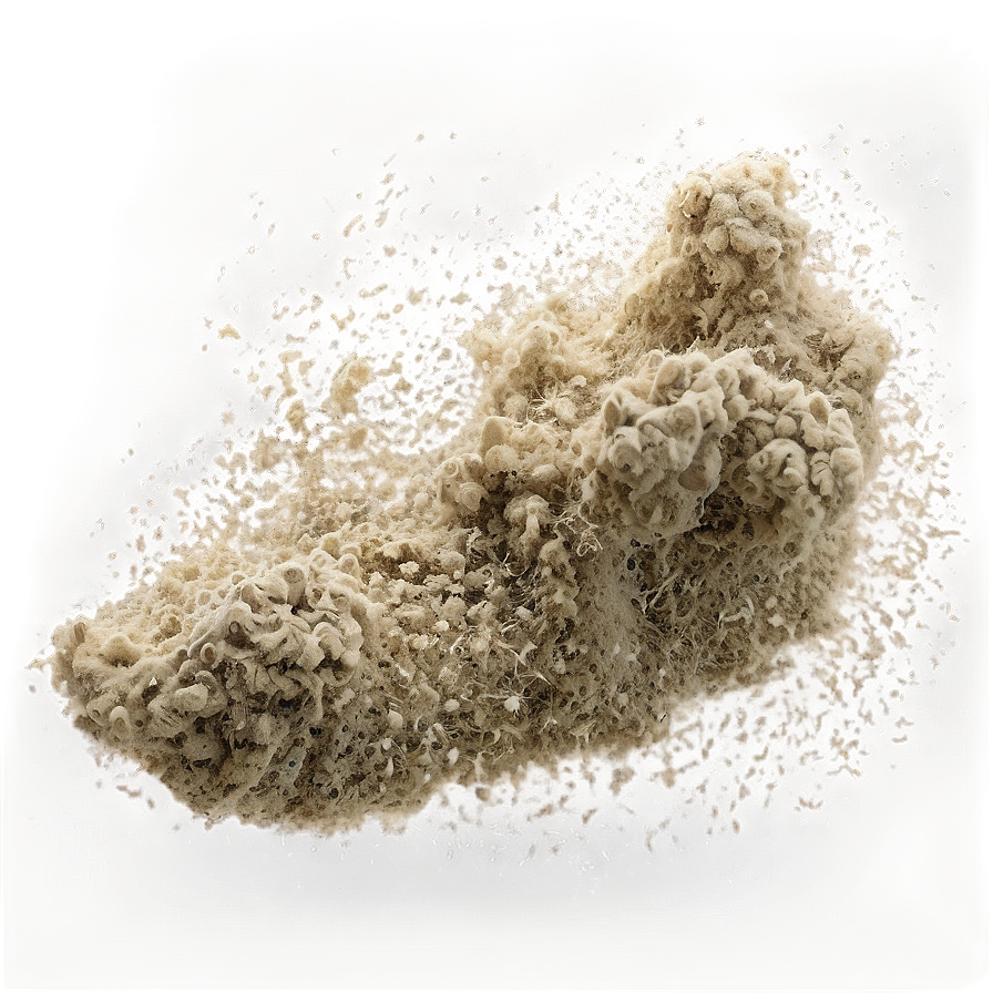 Dust D PNG Image