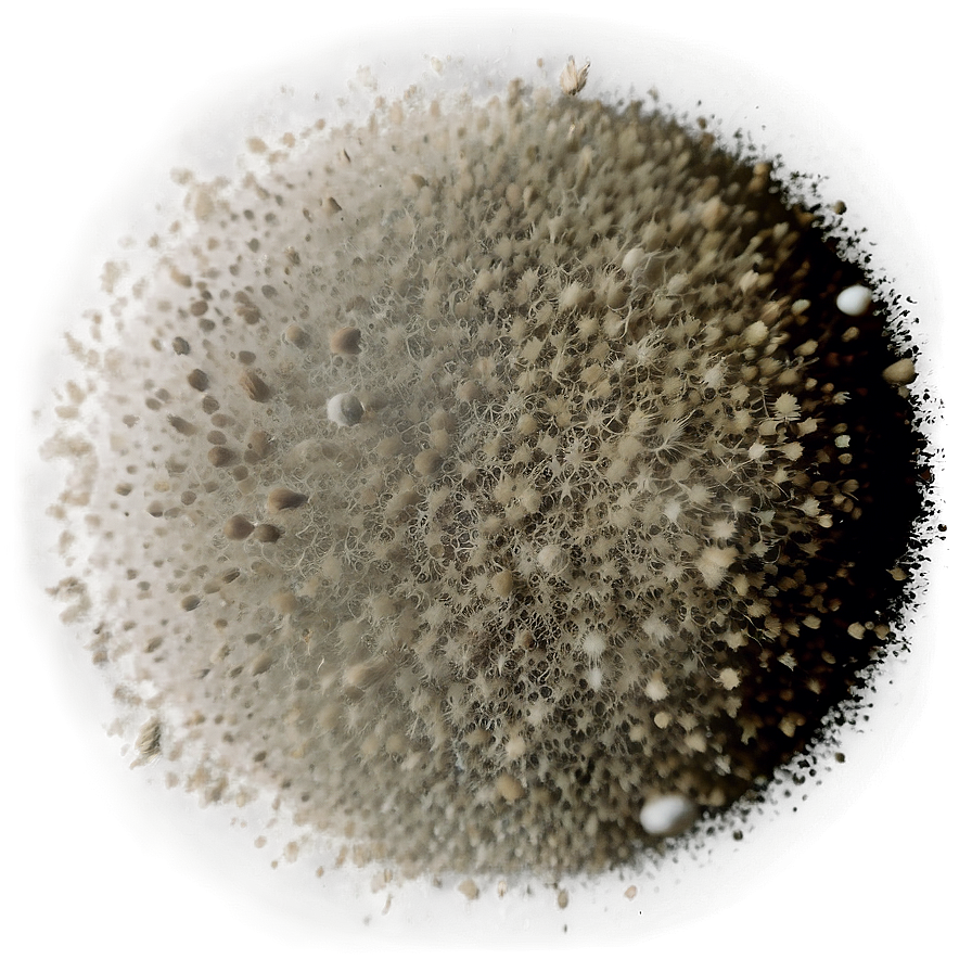 Dust Particles In Vintage Film Look Png 78 PNG Image