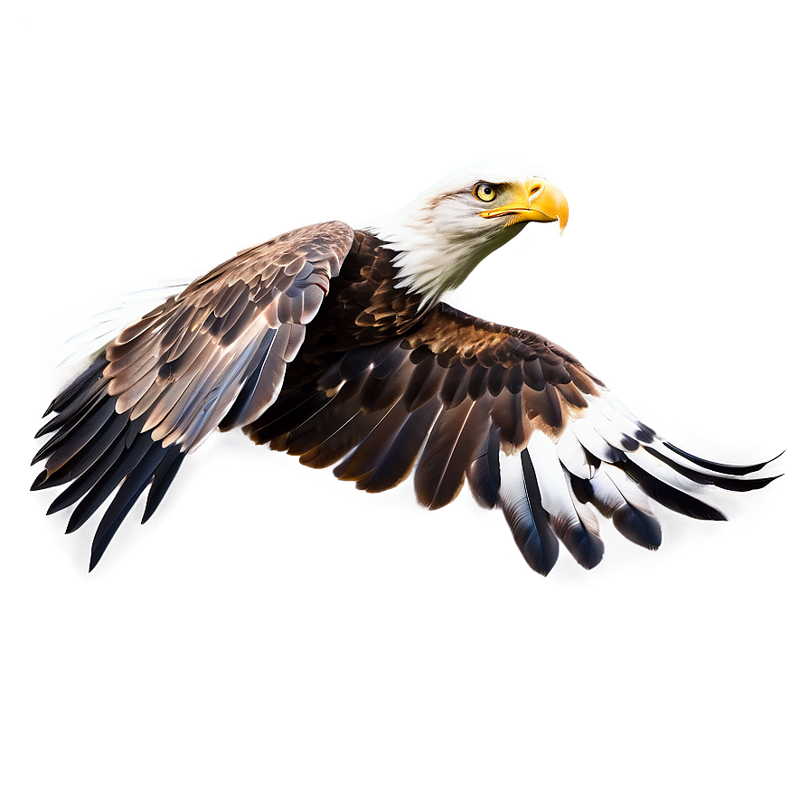 Eagle C PNG Image