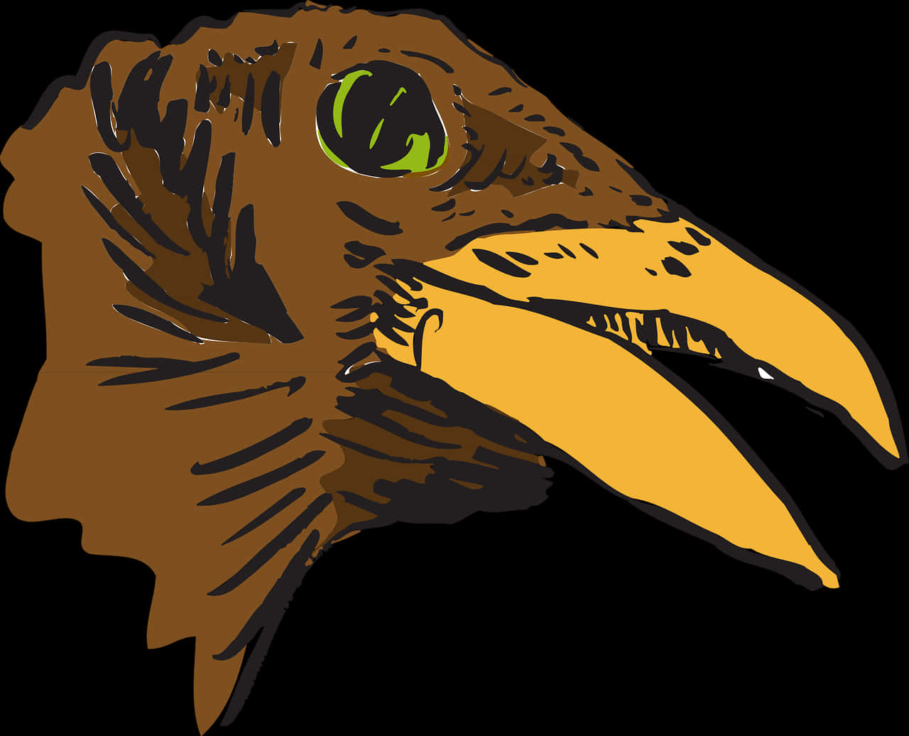 Eagle Head Illustration PNG Image