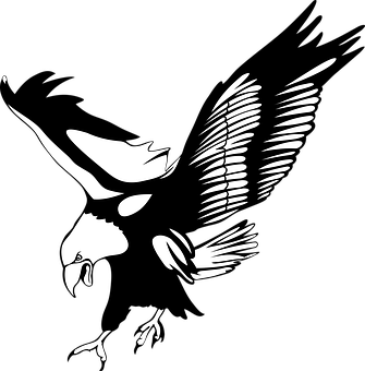 Eagle Silhouette Art PNG Image