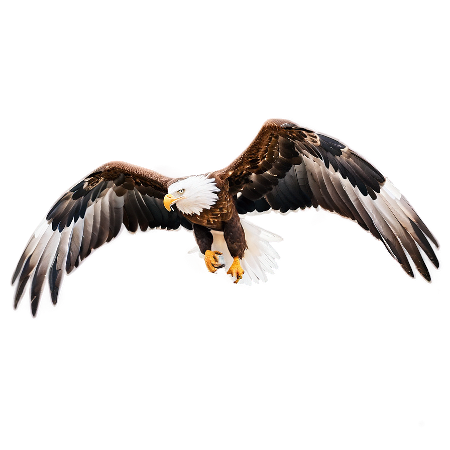 Eagle Wings In Motion Png 84 PNG Image