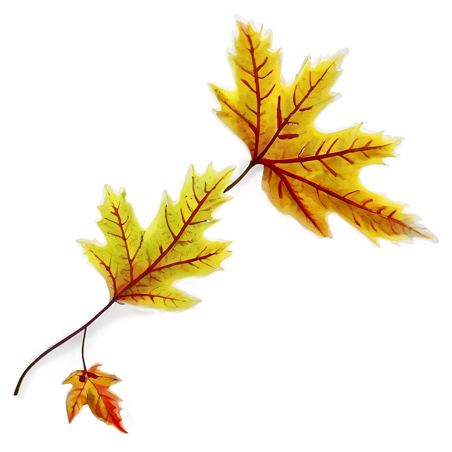 Early Fall Leaves Png Tho26 PNG Image