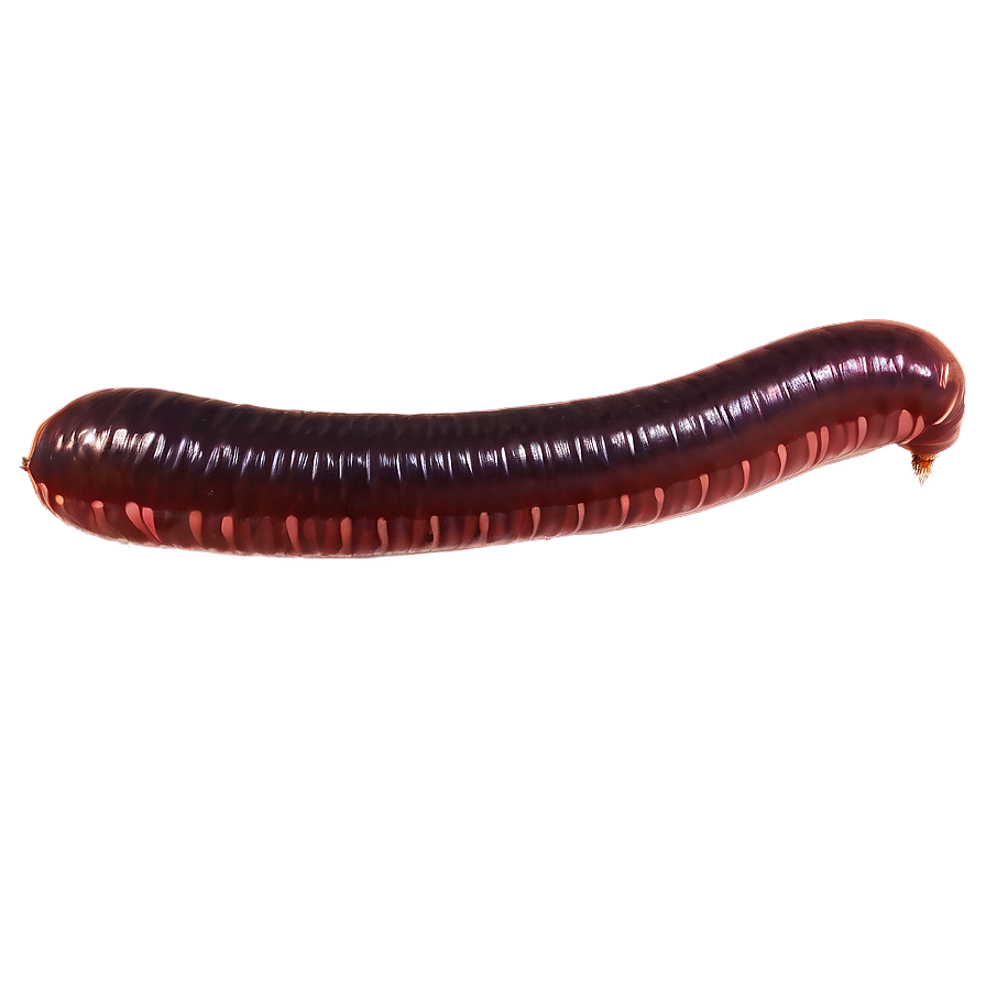 Earthworm At Night Png Ggy PNG Image