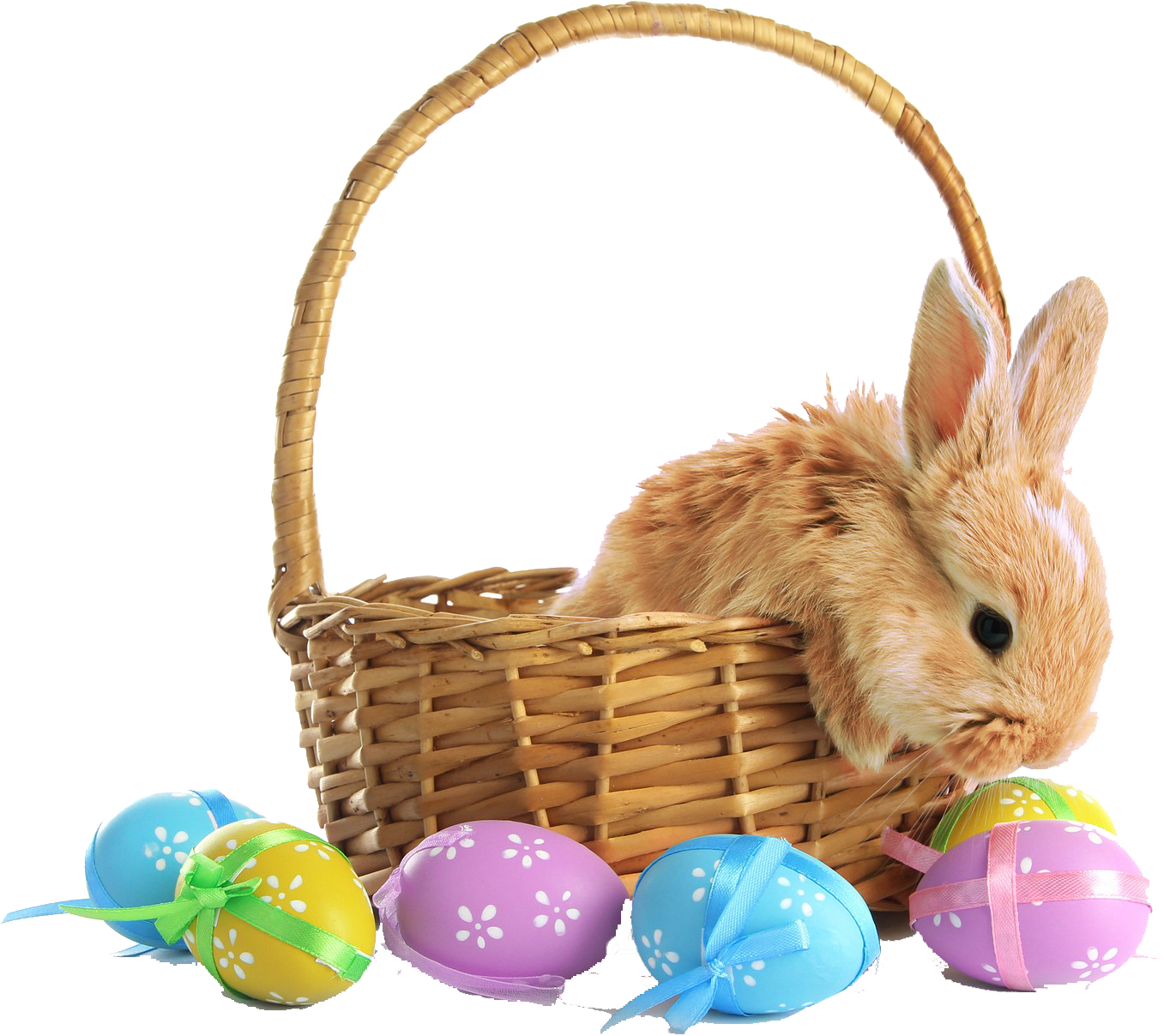 Easter Bunnyin Basketwith Decorated Eggs.png PNG Image