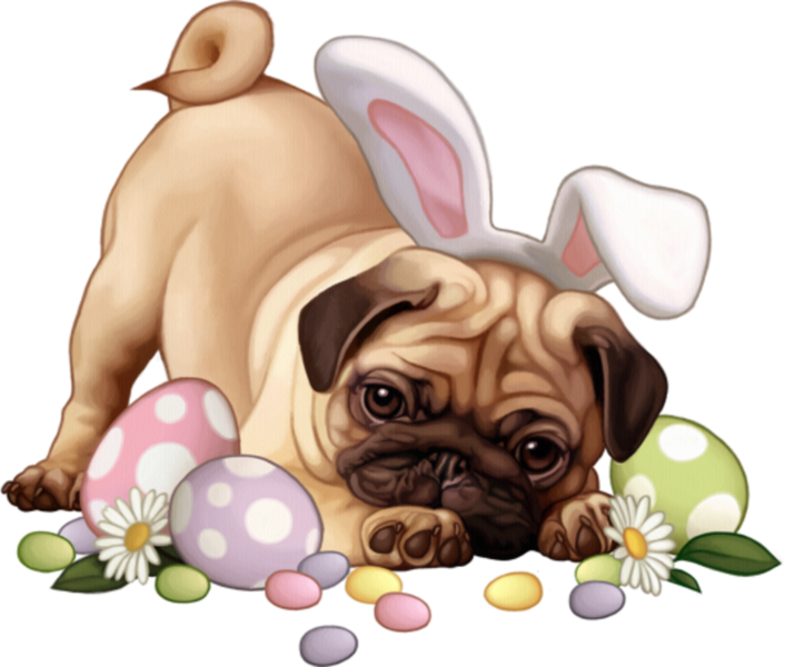 Easter Pugwith Bunny Earsand Eggs PNG Image