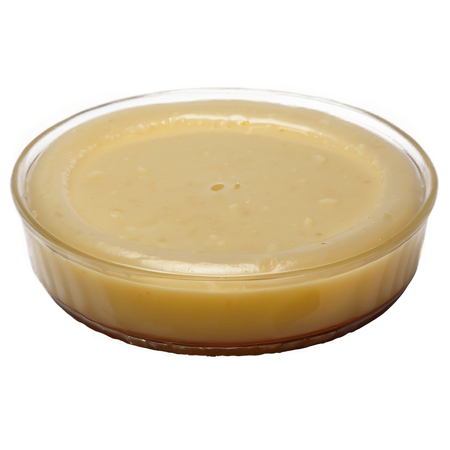 Easy Homemade Flan Guide Png 06132024 PNG Image