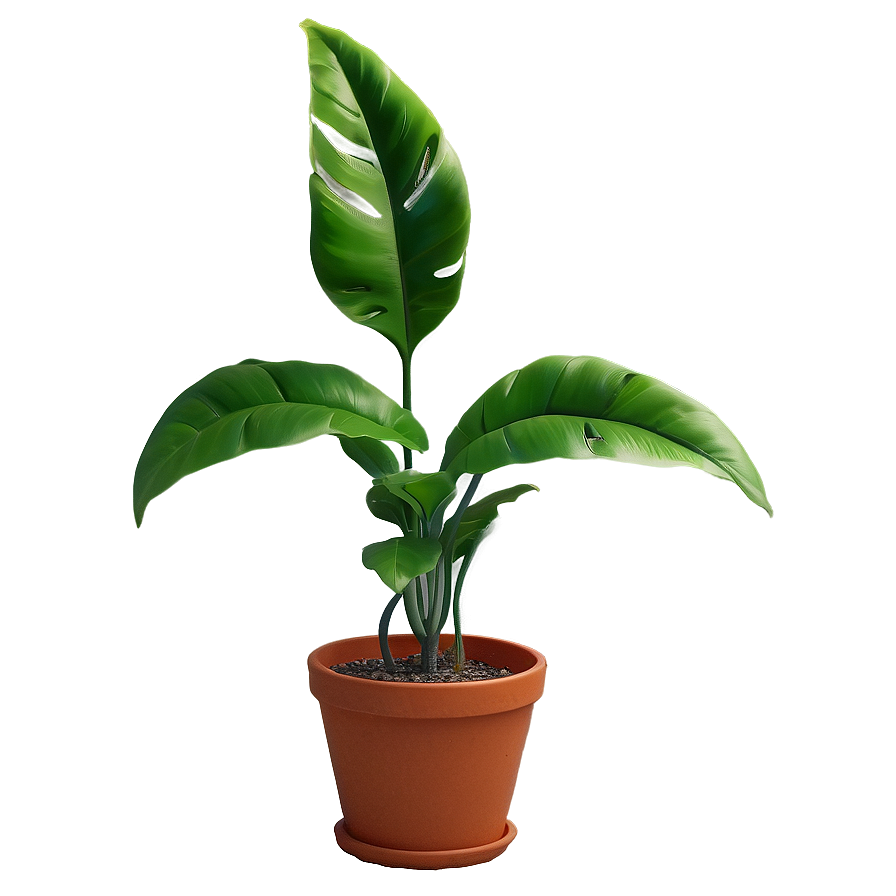 Eco-friendly Artificial Plant Png 20 PNG Image