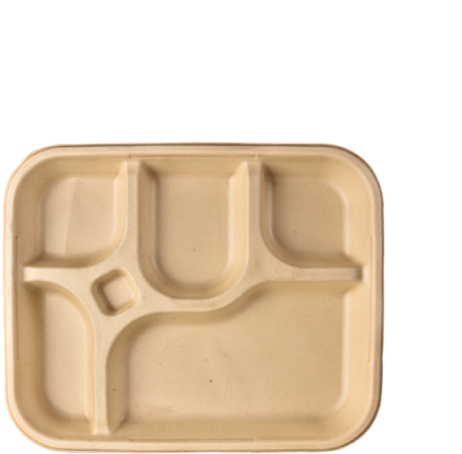 Eco Friendly Compartment Plate PNG Image