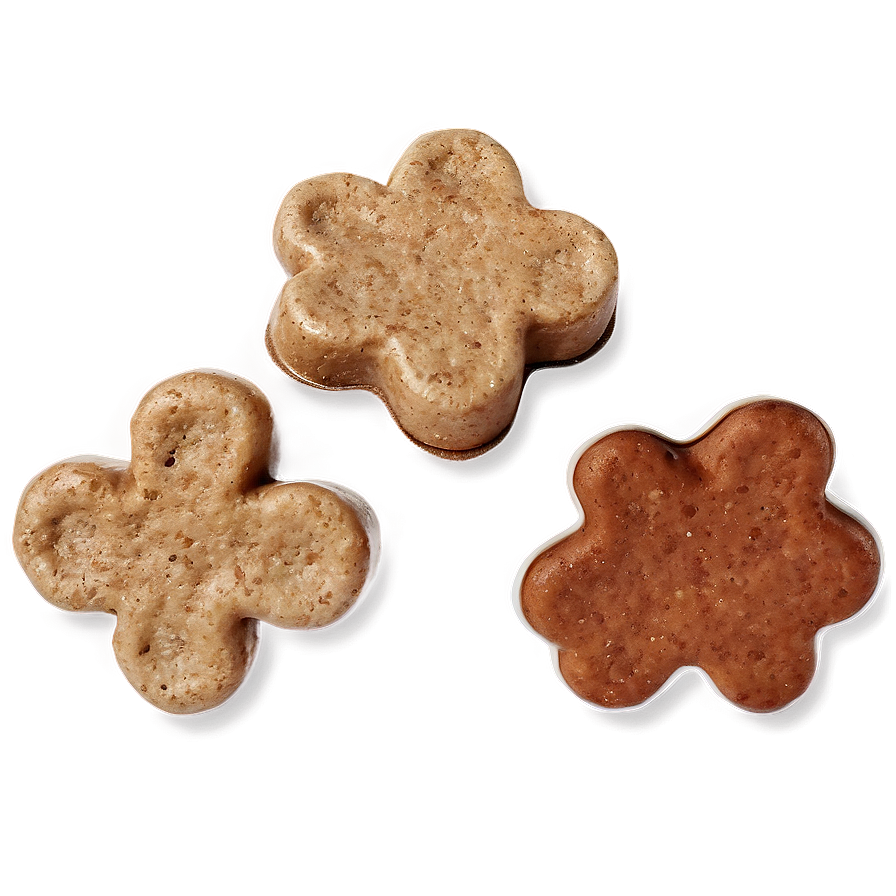 Eco-friendly Dog Treat Png Efv PNG Image