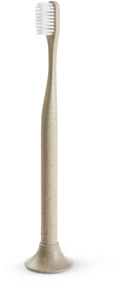 Eco Friendly Toothbrush Standing PNG Image