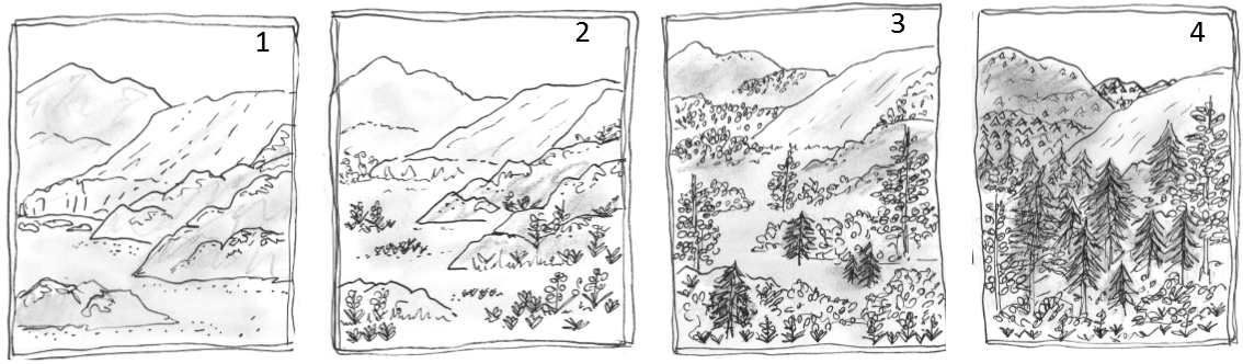 Ecological Succession Stages Sketches PNG Image