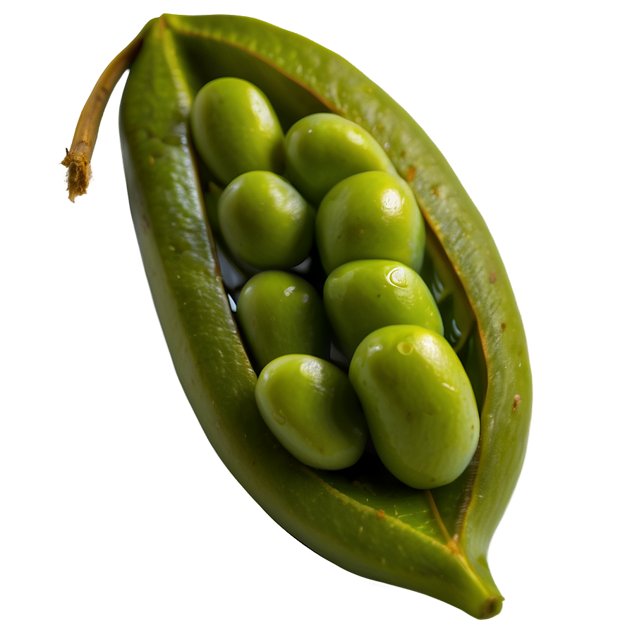 Edamame Bean Png 96 PNG Image