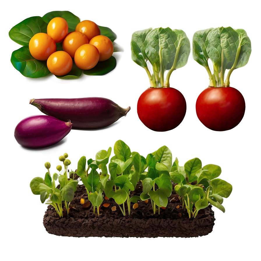 Edible Garden Crops Png Qft13 PNG Image