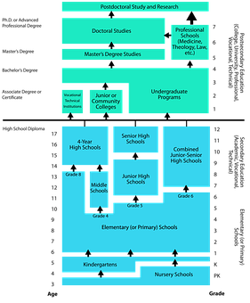 Education System Flowchart PNG Image