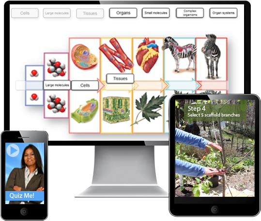 Educational Interactive Learning Platforms PNG Image