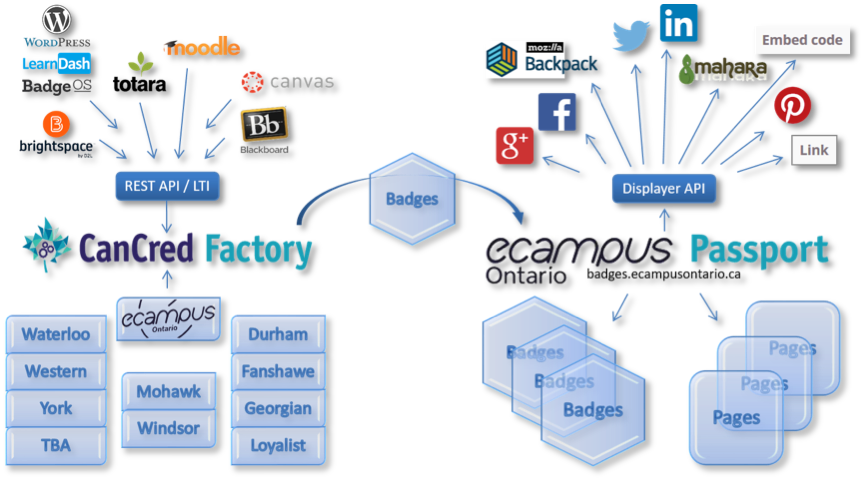 Educational Technology Integration Flowchart PNG Image