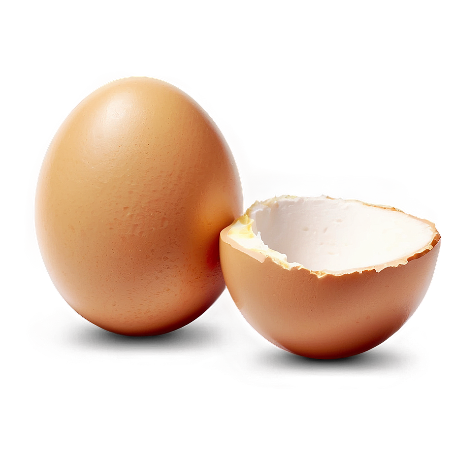 Egg Illustration Png Eeg PNG Image