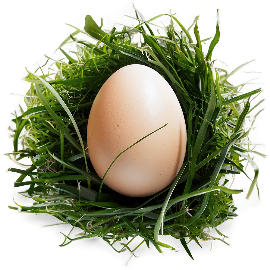 Egg In Grass Png 05042024 PNG Image