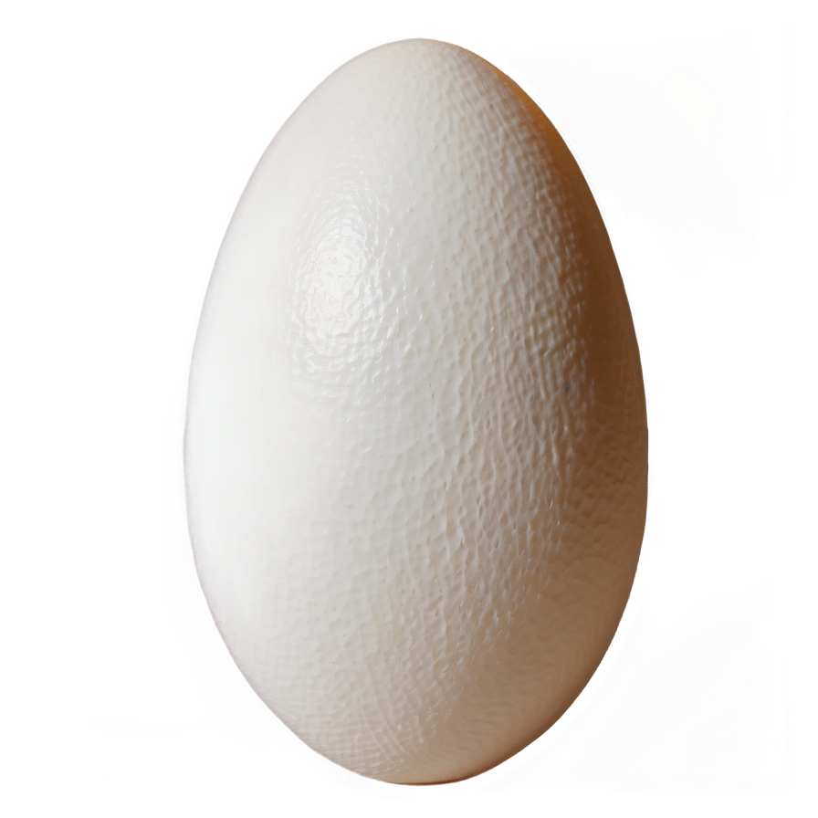 Egg Shell Png 05042024 PNG Image