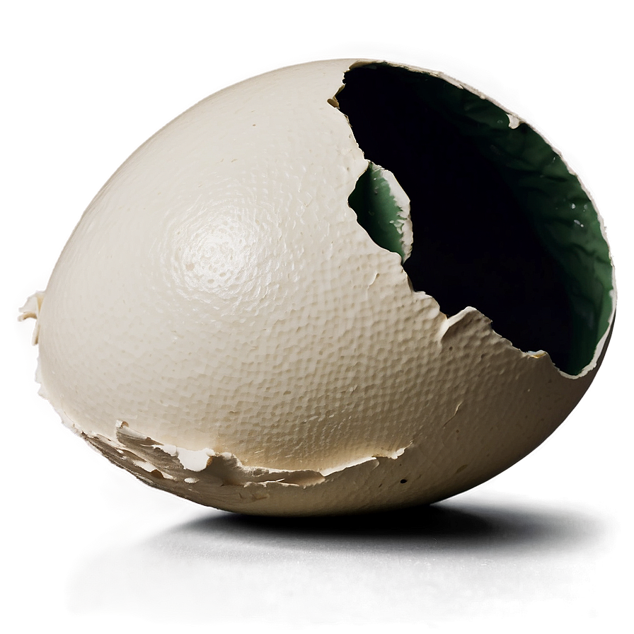 Eggshell Cracking Png Uum1 PNG Image