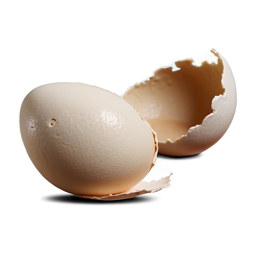 Eggshell Damage Png 06132024 PNG Image