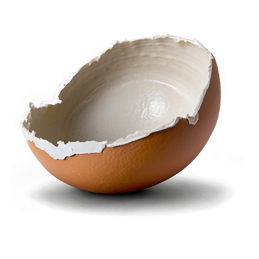 Eggshell Damage Png 28 PNG Image