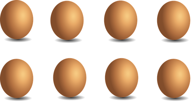 Eggson Black Background PNG Image