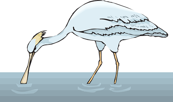 Egret Optical Illusion Water Reflection PNG Image