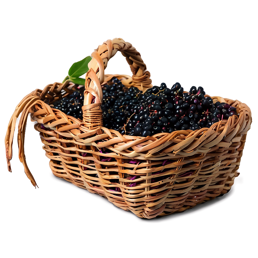 Elderberry Basket Png Kaj67 PNG Image