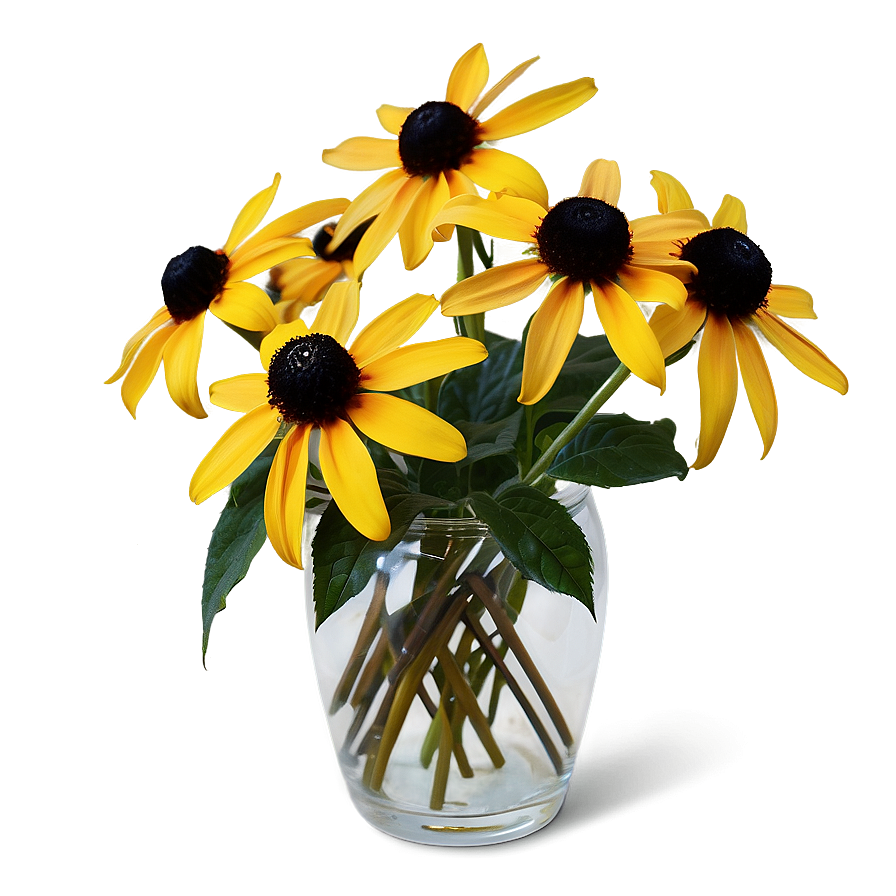 Elegant Black Eyed Susan Arrangement Png 47 PNG Image