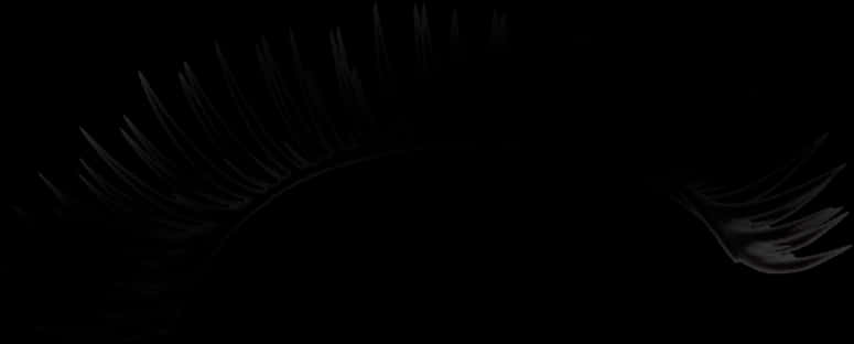 Elegant Black Eyelashes PNG Image